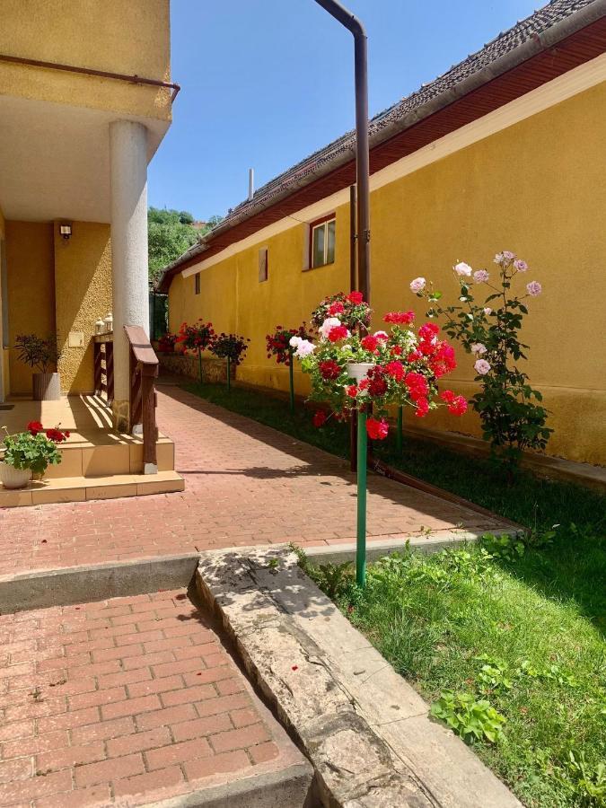Casa Ramona Apartment Turda Luaran gambar